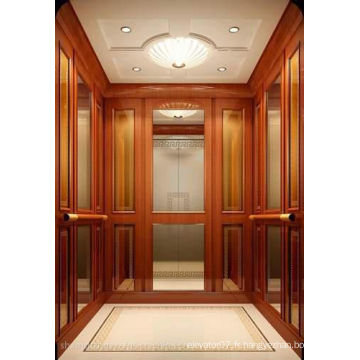 Shandong Fujizy Villa Elevator Fjs3000